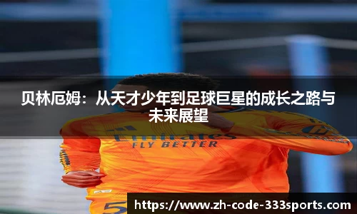 333体育中国