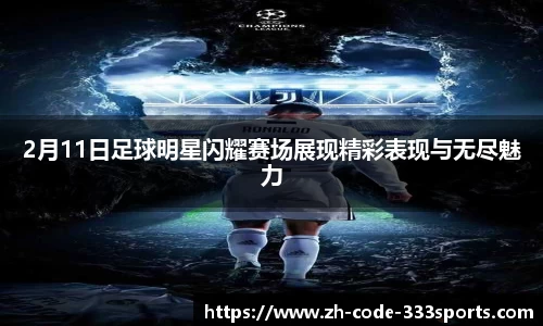 333体育平台注册